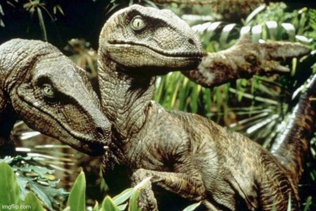 Velociraptors | image tagged in velociraptors | made w/ Imgflip meme maker