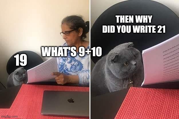 I'm running out of ideas for titles | THEN WHY DID YOU WRITE 21; WHAT'S 9+10; 19 | image tagged in woman showing paper to cat | made w/ Imgflip meme maker
