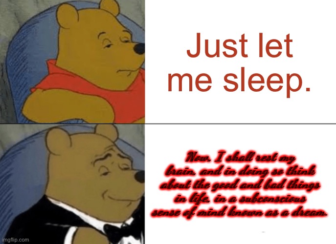 Tuxedo Winnie The Pooh | Just let me sleep. Now, I shall rest my brain, and in doing so think about the good and bad things in life, in a subconscious sense of mind known as a dream. | image tagged in memes,tuxedo winnie the pooh | made w/ Imgflip meme maker