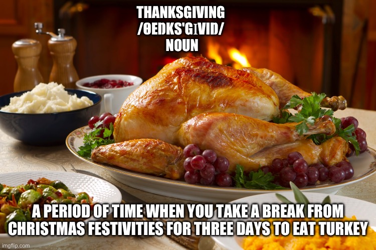 Thanksgiving sarcastic definition | THANKSGIVING 
/ΘEŊKS'GꞮVIŊ/ 
NOUN; A PERIOD OF TIME WHEN YOU TAKE A BREAK FROM CHRISTMAS FESTIVITIES FOR THREE DAYS TO EAT TURKEY | image tagged in thanksgiving,turkey,holiday,celebration,dictionary | made w/ Imgflip meme maker