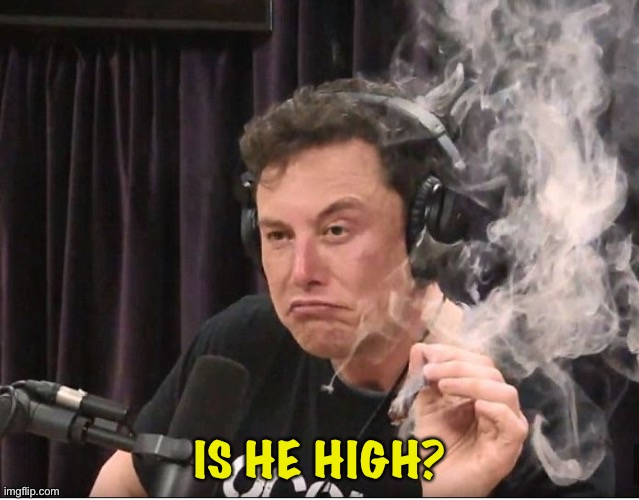 Elon Musk smoking a joint | IS HE HIGH? | image tagged in elon musk smoking a joint | made w/ Imgflip meme maker