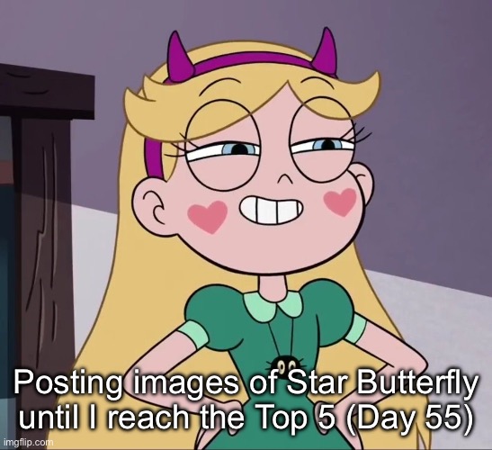 Day 55 | Posting images of Star Butterfly until I reach the Top 5 (Day 55) | image tagged in star butterfly | made w/ Imgflip meme maker
