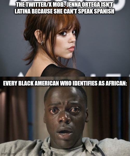 They really don't think past the first hit of outrage-dopamine, do they? | THE TWITTER/X MOB:  JENNA ORTEGA ISN'T
LATINA BECAUSE SHE CAN'T SPEAK SPANISH; EVERY BLACK AMERICAN WHO IDENTIFIES AS AFRICAN: | image tagged in get out eyes crying,memes,politics,jenna ortega,woke nonsense | made w/ Imgflip meme maker