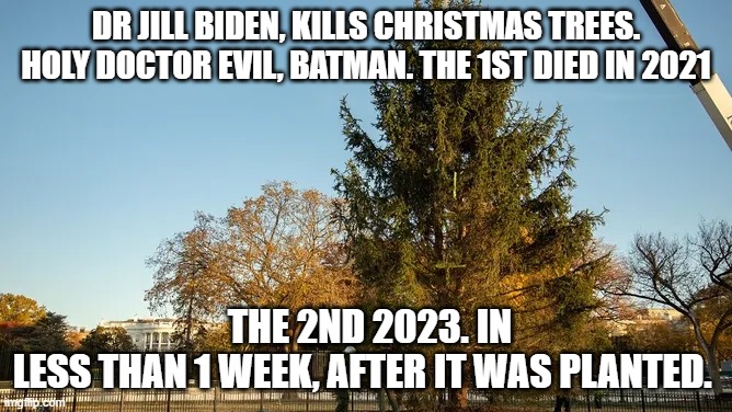 Biden's Admin Kills Christmas Tree | DR JILL BIDEN, KILLS CHRISTMAS TREES.
HOLY DOCTOR EVIL, BATMAN. THE 1ST DIED IN 2021; THE 2ND 2023. IN LESS THAN 1 WEEK, AFTER IT WAS PLANTED. | image tagged in biden's admin kills christmas tree | made w/ Imgflip meme maker