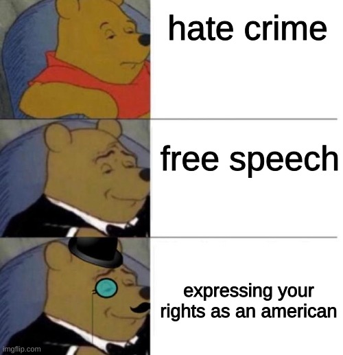 facts fr | hate crime; free speech; expressing your rights as an american | image tagged in winne pooh 3 | made w/ Imgflip meme maker