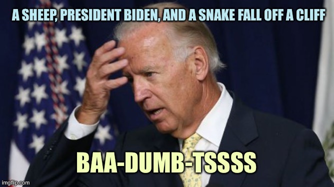 Finally Front-Page! | A SHEEP, PRESIDENT BIDEN, AND A SNAKE FALL OFF A CLIFF; BAA-DUMB-TSSSS | image tagged in joe biden worries,memes | made w/ Imgflip meme maker