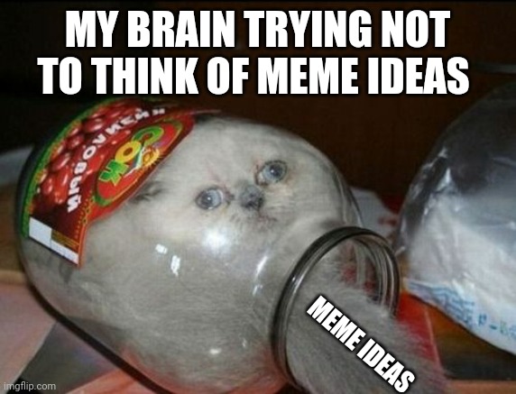 fr | MY BRAIN TRYING NOT TO THINK OF MEME IDEAS; MEME IDEAS | image tagged in harry houdini's cat stuck in jar,stupid cat | made w/ Imgflip meme maker