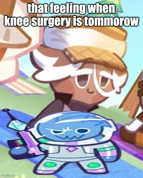 silly boy | that feeling when knee surgery is tommorow | image tagged in silly boy | made w/ Imgflip meme maker