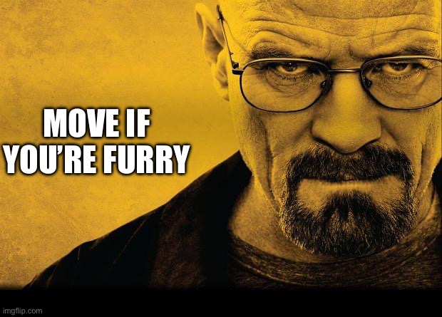 Breaking bad | MOVE IF YOU’RE FURRY | image tagged in breaking bad | made w/ Imgflip meme maker