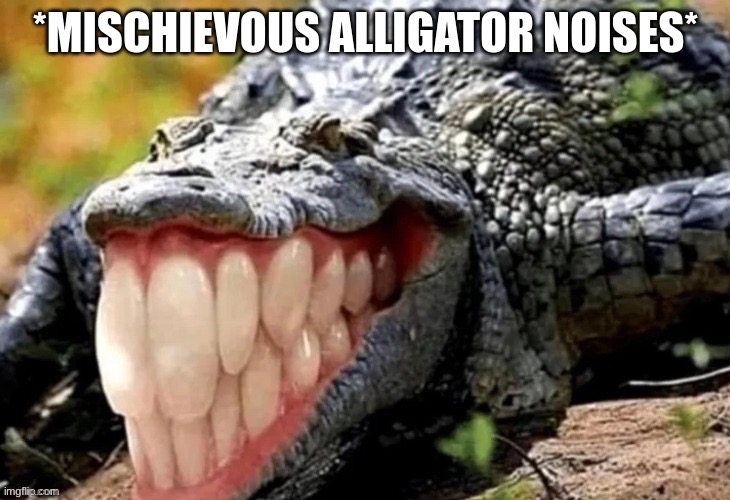 Alligator | image tagged in meme,animal | made w/ Imgflip meme maker