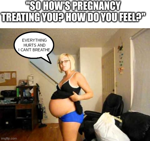 the struggles about pregnancy | "SO HOW'S PREGNANCY TREATING YOU? HOW DO YOU FEEL?"; EVERYTHING HURTS AND I CAN'T BREATHE | image tagged in pregnant woman,the struggle is real,breathe,everything,hurt | made w/ Imgflip meme maker