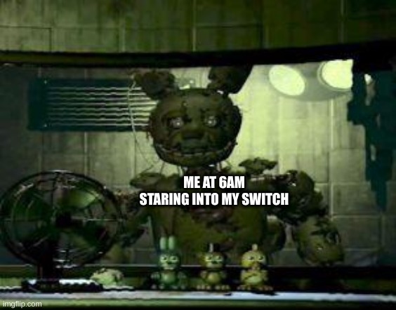 Me At 6AM Staring Into My Switch | ME AT 6AM STARING INTO MY SWITCH | image tagged in fnaf springtrap in window | made w/ Imgflip meme maker