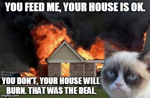 Burn Kitty | YOU FEED ME, YOUR HOUSE IS OK. YOU DON'T, YOUR HOUSE WILL BURN. THAT WAS THE DEAL. | image tagged in memes,burn kitty | made w/ Imgflip meme maker