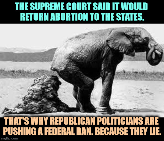 Republican politicians lie. | THE SUPREME COURT SAID IT WOULD 
RETURN ABORTION TO THE STATES. THAT'S WHY REPUBLICAN POLITICIANS ARE 
PUSHING A FEDERAL BAN. BECAUSE THEY LIE. | image tagged in elephant poopy,abortion,supreme court,lies,republicans,lie | made w/ Imgflip meme maker