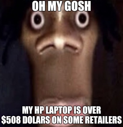 Ahhhhh | OH MY GOSH; MY HP LAPTOP IS OVER $508 DOLARS ON SOME RETAILERS | image tagged in quandale dingle | made w/ Imgflip meme maker