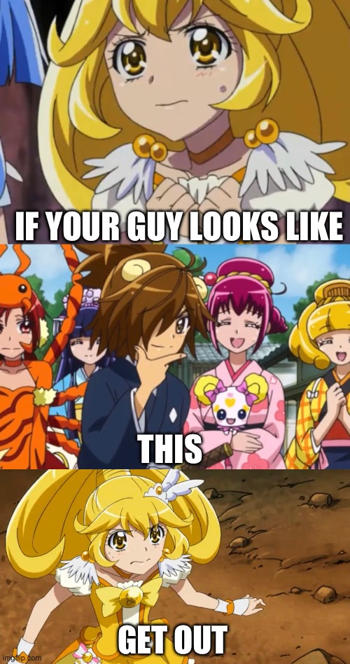 Dude if your girl but inversed 2 | IF YOUR GUY LOOKS LIKE; THIS; GET OUT | image tagged in dude if your girl,smile precure,precure | made w/ Imgflip meme maker