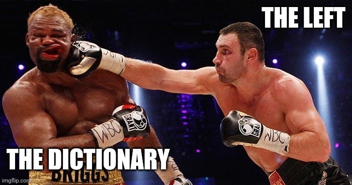 Insert "Racist" "Fascist" and "Free Market" Here. | THE LEFT; THE DICTIONARY | image tagged in boxer punched in face | made w/ Imgflip meme maker