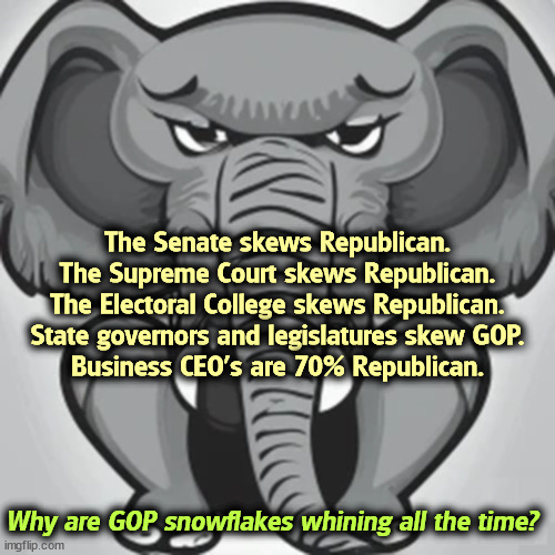 Republicans are over-represented at every level of government. The American public votes the other way. Yet it's never enough. | The Senate skews Republican.
The Supreme Court skews Republican.
The Electoral College skews Republican.
State governors and legislatures skew GOP.
Business CEO's are 70% Republican. Why are GOP snowflakes whining all the time? | image tagged in republicans,senate,supreme court,electoral college,governor,legislature | made w/ Imgflip meme maker