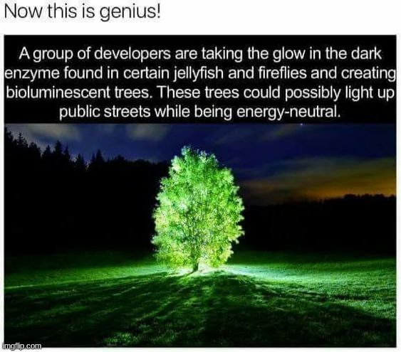 image tagged in memes | made w/ Imgflip meme maker
