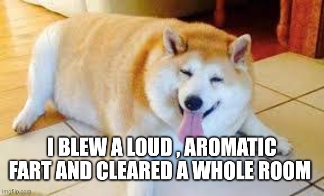 Thicc Doggo | I BLEW A LOUD , AROMATIC FART AND CLEARED A WHOLE ROOM | image tagged in thicc doggo | made w/ Imgflip meme maker