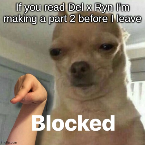 I know, thrilling | If you read Del x Ryn I'm making a part 2 before I leave | image tagged in blocked | made w/ Imgflip meme maker