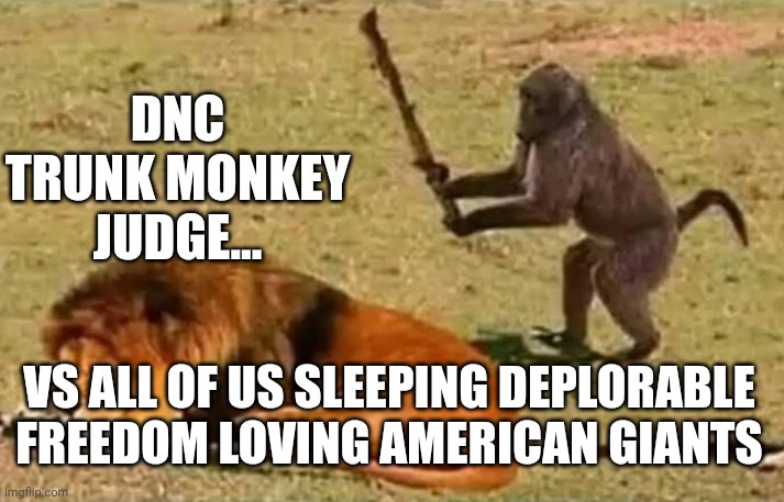 Trunk Monkey | DNC TRUNK MONKEY JUDGE... VS ALL OF US SLEEPING DEPLORABLE FREEDOM LOVING AMERICAN GIANTS | image tagged in drunk monkey,deplorable,voters | made w/ Imgflip meme maker
