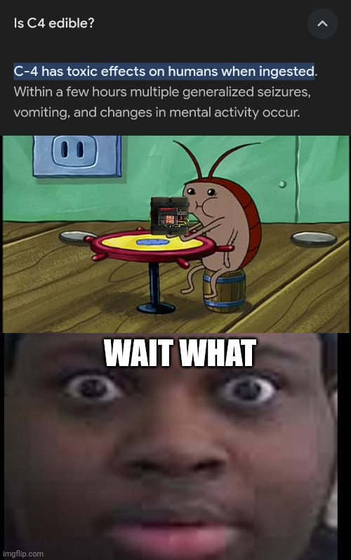 WAIT WHAT | image tagged in edp stare,memes,bomb,eat,google search,whoops | made w/ Imgflip meme maker