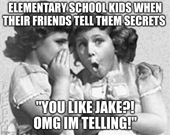 whisper | ELEMENTARY SCHOOL KIDS WHEN THEIR FRIENDS TELL THEM SECRETS; "YOU LIKE JAKE?! OMG IM TELLING!" | image tagged in whisper | made w/ Imgflip meme maker