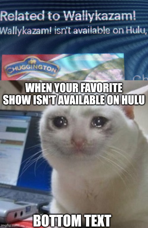 Sad I know. | WHEN YOUR FAVORITE SHOW ISN'T AVAILABLE ON HULU; BOTTOM TEXT | image tagged in crying cat,wallykazam,hulu | made w/ Imgflip meme maker