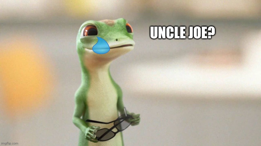 Geico Gecko | UNCLE JOE? | image tagged in geico gecko | made w/ Imgflip meme maker
