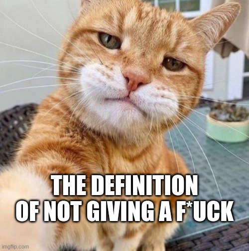 THE DEFINITION OF NOT GIVING A F*UCK | image tagged in cats,memes | made w/ Imgflip meme maker