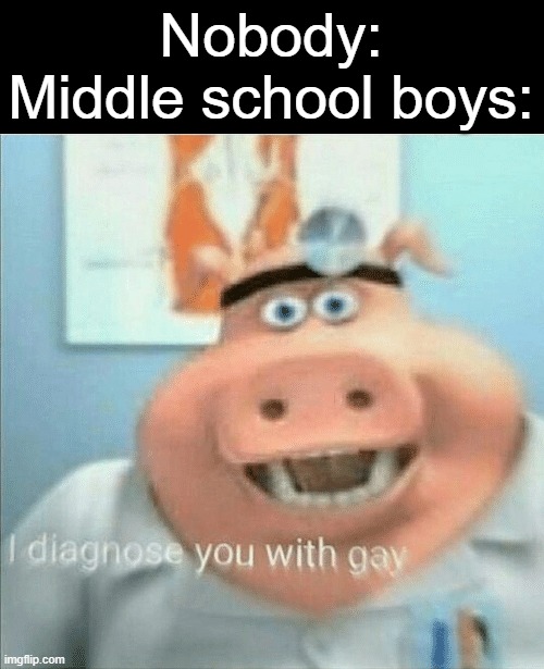 yeah | Nobody:
Middle school boys: | image tagged in i diagnose you with gay,memes,funny,true,lol | made w/ Imgflip meme maker