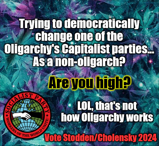 lol | Trying to democratically change one of the Oligarchy's Capitalist parties...
As a non-oligarch? Are you high? LOL, that's not how Oligarchy works; Vote Stodden/Cholensky 2024 | image tagged in space weed leaf,oligarchy,democracy,socialist,socialists,stodden and cholensky | made w/ Imgflip meme maker