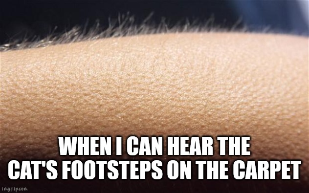 Goosebumps | WHEN I CAN HEAR THE CAT'S FOOTSTEPS ON THE CARPET | image tagged in goosebumps | made w/ Imgflip meme maker