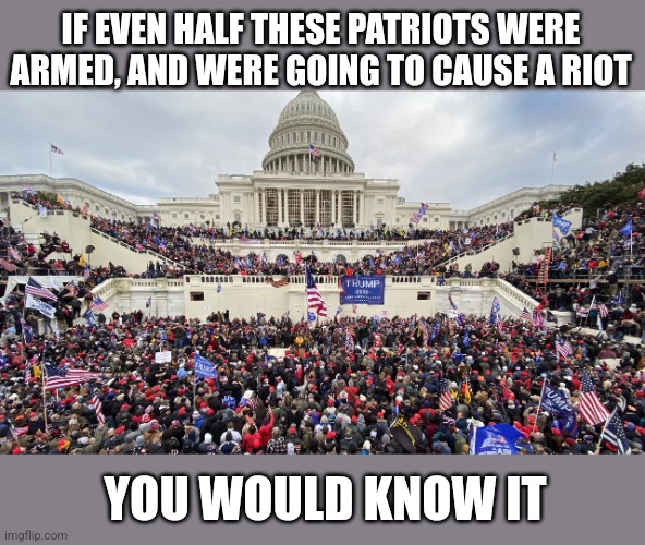 january 6 rioters on capitol steps | IF EVEN HALF THESE PATRIOTS WERE ARMED, AND WERE GOING TO CAUSE A RIOT YOU WOULD KNOW IT | image tagged in january 6 rioters on capitol steps | made w/ Imgflip meme maker