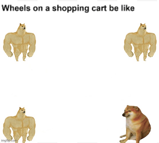 wheels on shopping cart | image tagged in wheels on a shopping cart be like | made w/ Imgflip meme maker