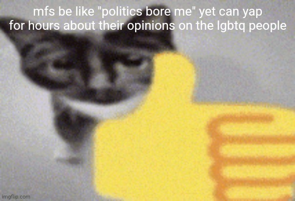 thumbs up cat | mfs be like "politics bore me" yet can yap for hours about their opinions on the lgbtq people | image tagged in thumbs up cat | made w/ Imgflip meme maker