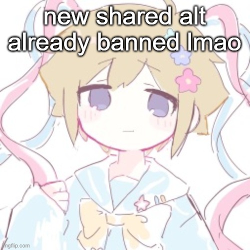 new shared alt already banned lmao | image tagged in luckyguy17 basil nso alt template | made w/ Imgflip meme maker