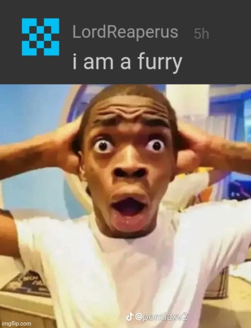HOLY SHIT HE FURRY?1?!?! NOWAYYYYY | image tagged in shocked black guy | made w/ Imgflip meme maker