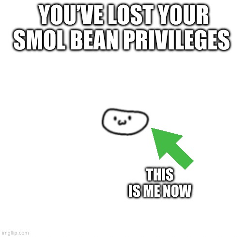 Smol bean says: | YOU’VE LOST YOUR SMOL BEAN PRIVILEGES THIS IS ME NOW | image tagged in smol bean says | made w/ Imgflip meme maker