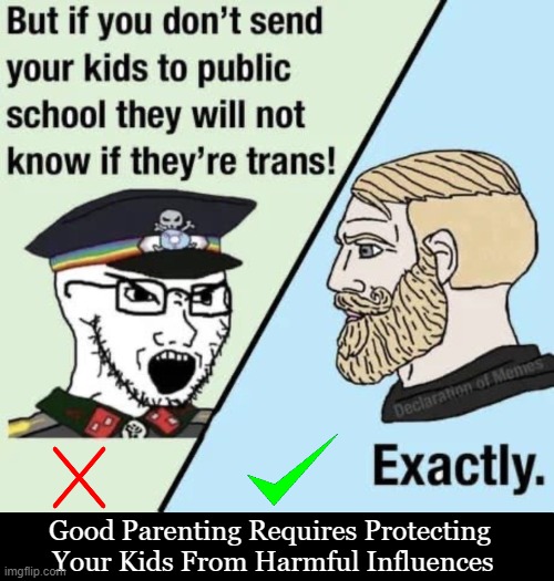 The Woke Liberal Agenda | Good Parenting Requires Protecting 
Your Kids From Harmful Influences | image tagged in politics,teach your children well,grooming,liberalism,innocence of children,liberals vs conservatives | made w/ Imgflip meme maker
