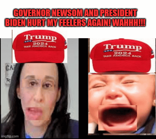 GOVERNOR NEWSOM AND PRESIDENT BIDEN HURT MY FEELERS AGAIN! WAHHH!!! | image tagged in gifs | made w/ Imgflip images-to-gif maker