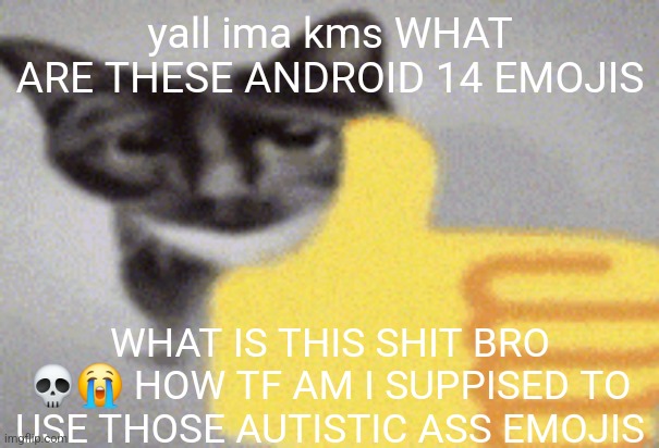 thumbs up cat | yall ima kms WHAT ARE THESE ANDROID 14 EMOJIS; WHAT IS THIS SHIT BRO 💀😭 HOW TF AM I SUPPISED TO USE THOSE AUTISTIC ASS EMOJIS | image tagged in thumbs up cat | made w/ Imgflip meme maker