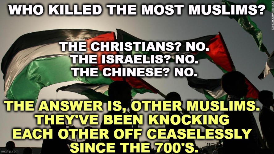 WHO KILLED THE MOST MUSLIMS? THE CHRISTIANS? NO.
THE ISRAELIS? NO.
THE CHINESE? NO. THE ANSWER IS, OTHER MUSLIMS. 
THEY'VE BEEN KNOCKING 
EACH OTHER OFF CEASELESSLY 
SINCE THE 700'S. | image tagged in muslims,killed,christians,israelis,chinese | made w/ Imgflip meme maker