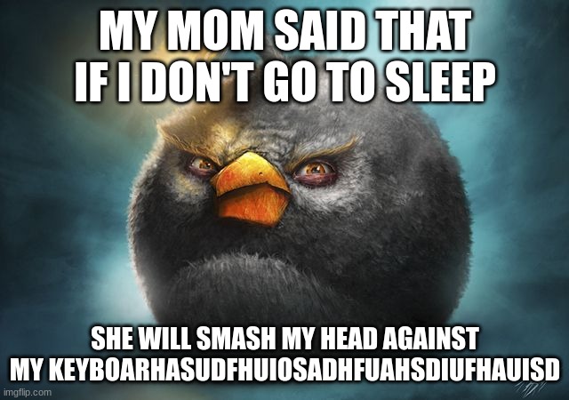 my mom said | MY MOM SAID THAT IF I DON'T GO TO SLEEP; SHE WILL SMASH MY HEAD AGAINST MY KEYBOARHASUDFHUIOSADHFUAHSDIUFHAUISD | image tagged in angry birds bomb | made w/ Imgflip meme maker