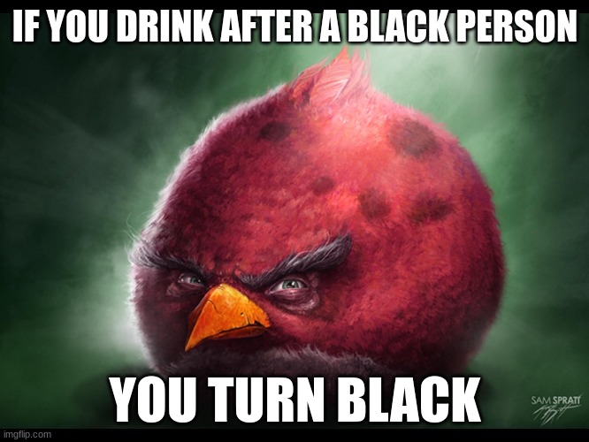 there is no turning back your turning black | IF YOU DRINK AFTER A BLACK PERSON; YOU TURN BLACK | image tagged in realistic angry bird big red | made w/ Imgflip meme maker