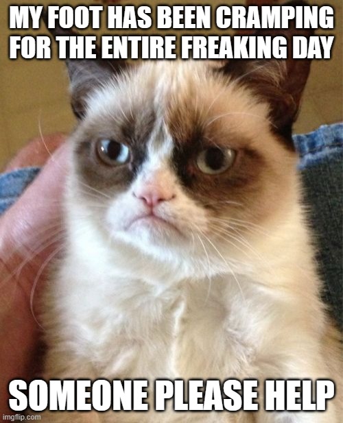 Grumpy Cat | MY FOOT HAS BEEN CRAMPING FOR THE ENTIRE FREAKING DAY; SOMEONE PLEASE HELP | image tagged in memes,grumpy cat | made w/ Imgflip meme maker
