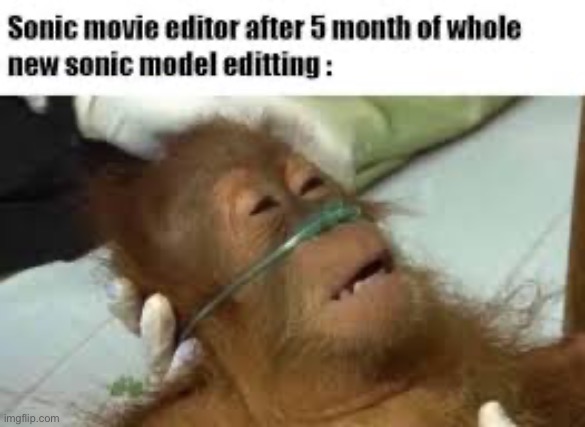 Sonic movie | image tagged in sonic movie | made w/ Imgflip meme maker