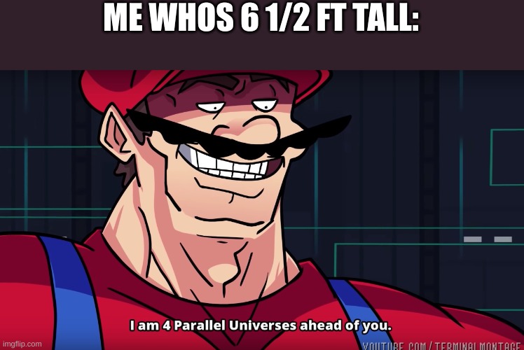 Mario I am four parallel universes ahead of you | ME WHOS 6 1/2 FT TALL: | image tagged in mario i am four parallel universes ahead of you | made w/ Imgflip meme maker