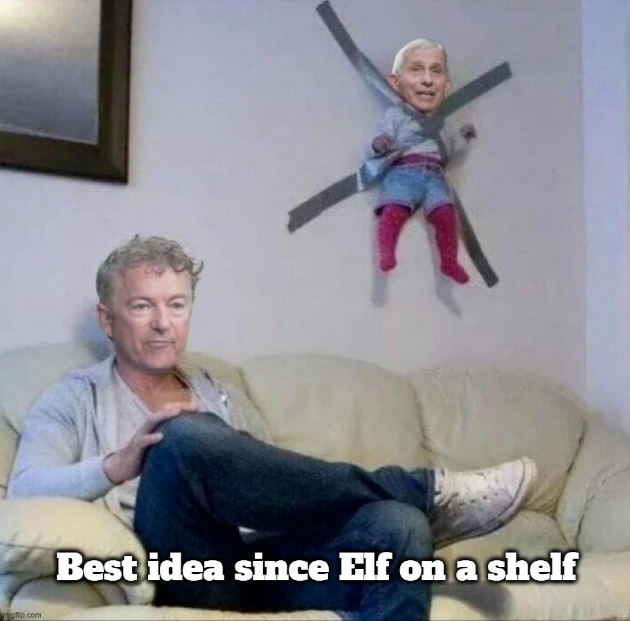 Even duct tape can't fix stupid but it sure can muffle the sound. | Best idea since Elf on a shelf | image tagged in elf on the shelf,you know i'm something of a scientist myself,elf on a shelf,dr fauci,dr doom,plandemic | made w/ Imgflip meme maker